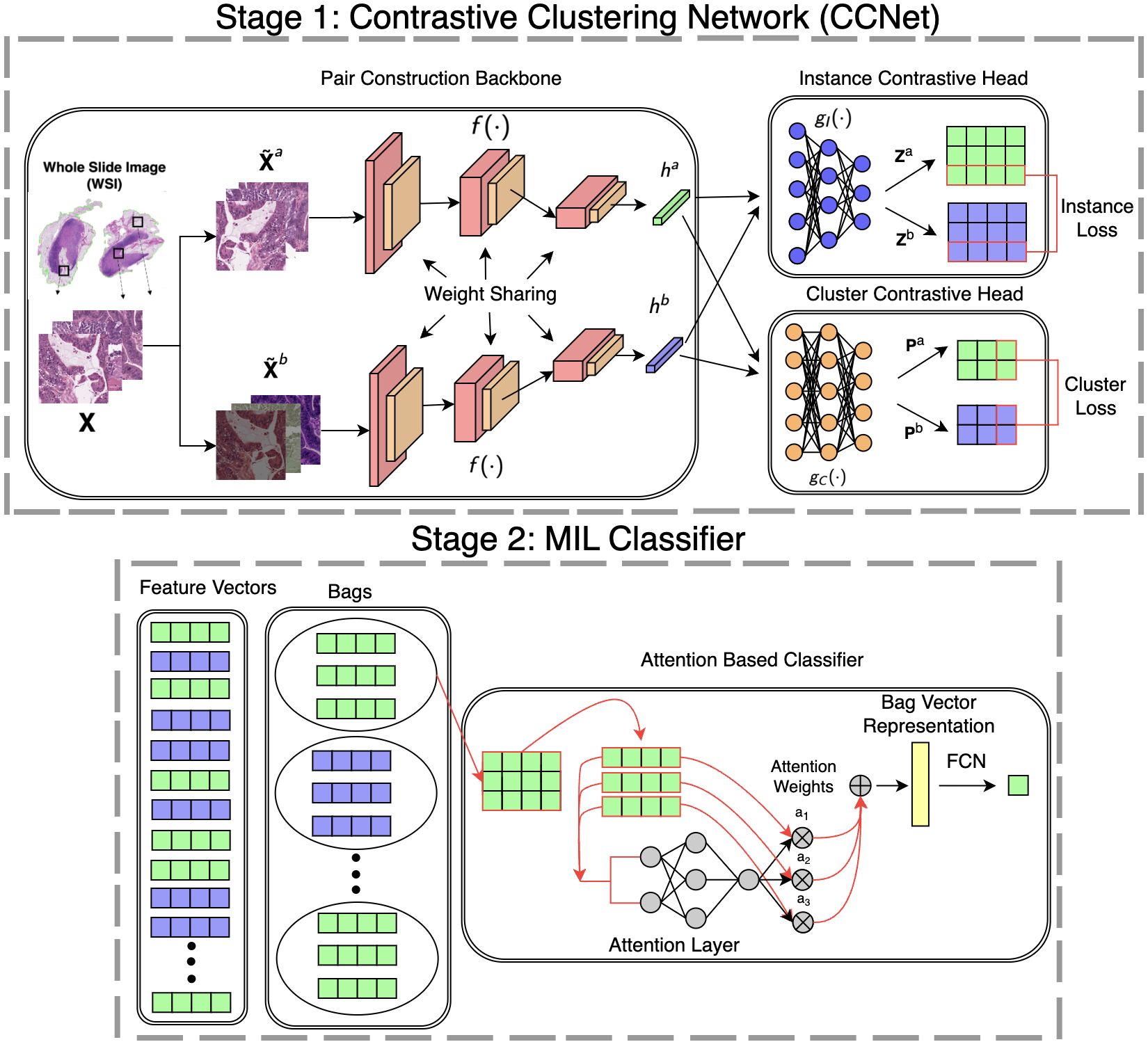 Contrastive Pre-Training and Multiple Instance Learning for Predicting Tumor Microsatellite Instability